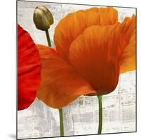 Summer Poppies II-Jenny Thomlinson-Mounted Art Print