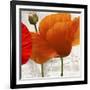 Summer Poppies II-Jenny Thomlinson-Framed Art Print