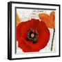 Summer Poppies III-Jenny Thomlinson-Framed Art Print