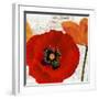 Summer Poppies III-Jenny Thomlinson-Framed Art Print