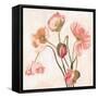 Summer Poppies III-Emma Scarvey-Framed Stretched Canvas