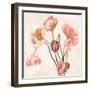 Summer Poppies III-Emma Scarvey-Framed Art Print