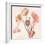 Summer Poppies III-Emma Scarvey-Framed Art Print