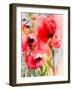 Summer Poppies-Karin Johannesson-Framed Art Print