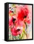 Summer Poppies-Karin Johannesson-Framed Stretched Canvas