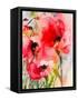 Summer Poppies-Karin Johannesson-Framed Stretched Canvas