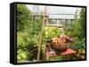 Summer Potager Style Garden with Freshly Harvested Vegetables in Wooden Trug, Norfolk, UK-Gary Smith-Framed Stretched Canvas