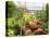 Summer Potager Style Garden with Freshly Harvested Vegetables in Wooden Trug, Norfolk, UK-Gary Smith-Stretched Canvas