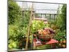 Summer Potager Style Garden with Freshly Harvested Vegetables in Wooden Trug, Norfolk, UK-Gary Smith-Mounted Photographic Print