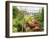 Summer Potager Style Garden with Freshly Harvested Vegetables in Wooden Trug, Norfolk, UK-Gary Smith-Framed Photographic Print