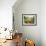 Summer Potager Style Garden with Freshly Harvested Vegetables in Wooden Trug, Norfolk, UK-Gary Smith-Framed Photographic Print displayed on a wall