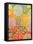 Summer Profusion II-Kathrine Lovell-Framed Stretched Canvas
