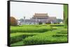 Summer Rain at Tien an Mien Square and Forbidden City, Beijing, China-Stuart Westmorland-Framed Stretched Canvas