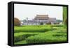 Summer Rain at Tien an Mien Square and Forbidden City, Beijing, China-Stuart Westmorland-Framed Stretched Canvas
