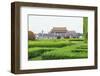 Summer Rain at Tien an Mien Square and Forbidden City, Beijing, China-Stuart Westmorland-Framed Photographic Print