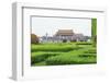 Summer Rain at Tien an Mien Square and Forbidden City, Beijing, China-Stuart Westmorland-Framed Photographic Print