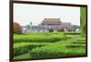 Summer Rain at Tien an Mien Square and Forbidden City, Beijing, China-Stuart Westmorland-Framed Photographic Print