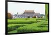 Summer Rain at Tien an Mien Square and Forbidden City, Beijing, China-Stuart Westmorland-Framed Photographic Print