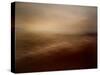 Summer Rain-Doug Chinnery-Stretched Canvas