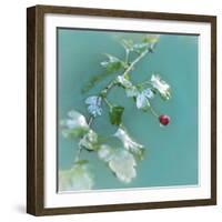 Summer Rain-Viviane Fedieu Daniel-Framed Photographic Print