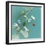 Summer Rain-Viviane Fedieu Daniel-Framed Photographic Print