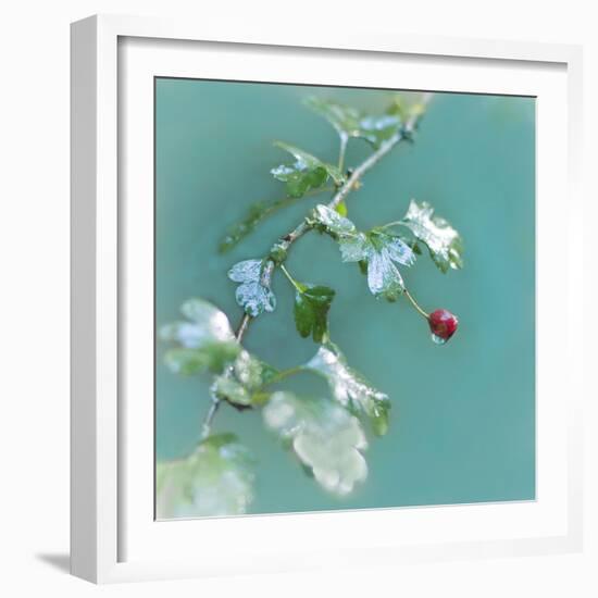 Summer Rain-Viviane Fedieu Daniel-Framed Photographic Print