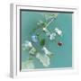 Summer Rain-Viviane Fedieu Daniel-Framed Photographic Print