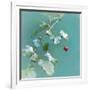 Summer Rain-Viviane Fedieu Daniel-Framed Photographic Print