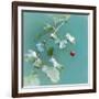 Summer Rain-Viviane Fedieu Daniel-Framed Photographic Print