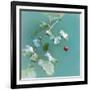 Summer Rain-Viviane Fedieu Daniel-Framed Photographic Print