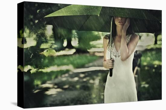 Summer Rain-conrado-Stretched Canvas