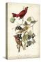 Summer Red Bird-John James Audubon-Stretched Canvas