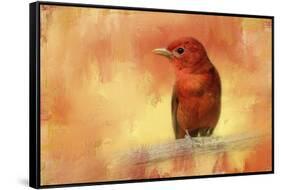 Summer Red-Jai Johnson-Framed Stretched Canvas