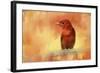 Summer Red-Jai Johnson-Framed Giclee Print