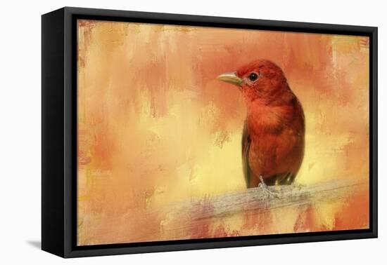 Summer Red-Jai Johnson-Framed Stretched Canvas