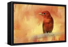 Summer Red-Jai Johnson-Framed Stretched Canvas