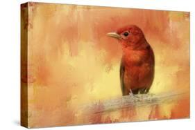 Summer Red-Jai Johnson-Stretched Canvas