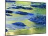 Summer Reflections in the Waters of the Lamprey River, New Hampshire, USA-Jerry & Marcy Monkman-Mounted Photographic Print