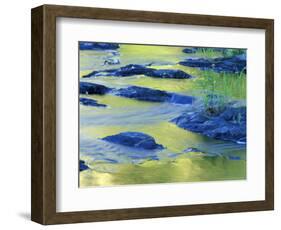 Summer Reflections in the Waters of the Lamprey River, New Hampshire, USA-Jerry & Marcy Monkman-Framed Photographic Print