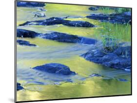 Summer Reflections in the Waters of the Lamprey River, New Hampshire, USA-Jerry & Marcy Monkman-Mounted Photographic Print