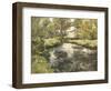 Summer Reflections-Frederick Charles Vipont Ede-Framed Giclee Print