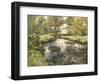 Summer Reflections-Frederick Charles Vipont Ede-Framed Giclee Print