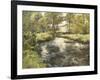 Summer Reflections-Frederick Charles Vipont Ede-Framed Giclee Print