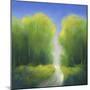 Summer Road-Teri Jonas-Mounted Premium Giclee Print
