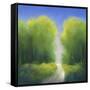 Summer Road-Teri Jonas-Framed Stretched Canvas