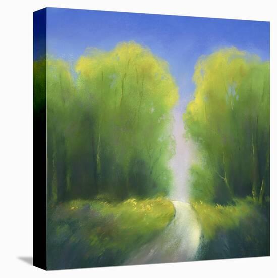 Summer Road-Teri Jonas-Stretched Canvas