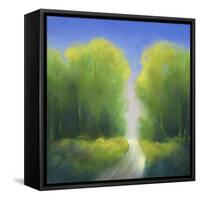 Summer Road-Teri Jonas-Framed Stretched Canvas