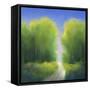 Summer Road-Teri Jonas-Framed Stretched Canvas