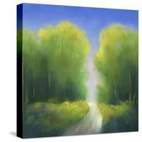 Summer Road-Teri Jonas-Stretched Canvas