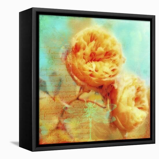 Summer Romance-Tina Lavoie-Framed Stretched Canvas